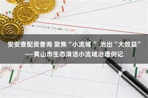 安安查配资查询 聚焦“小流域 ” 治出“大效益”——黄山市生态清洁小流域治理侧记